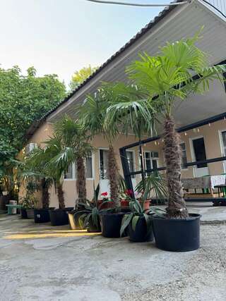 Гостиница Аида Джубга-0